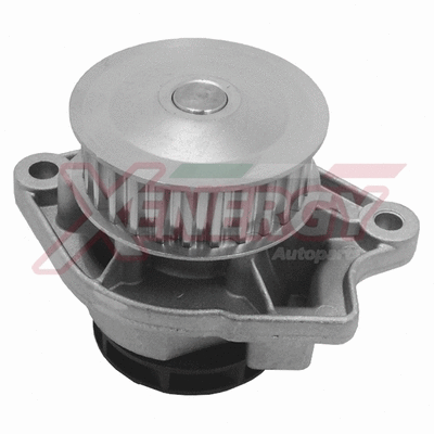 Water Pump, engine cooling (X201501)