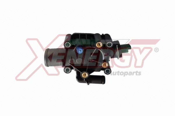 Thermostat, coolant (XT6972)