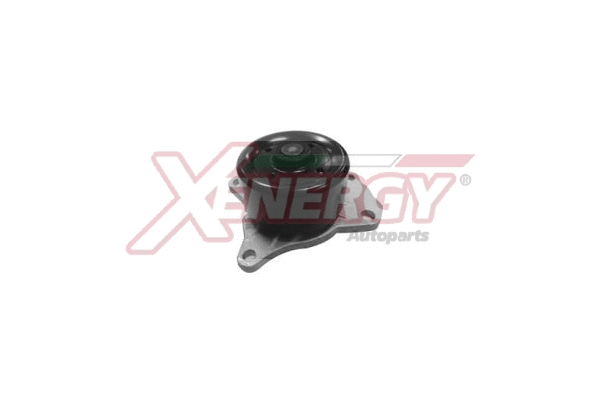 Water Pump, engine cooling (X208063)
