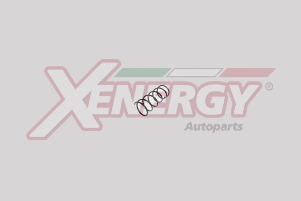 Suspension Spring (XSA5910)