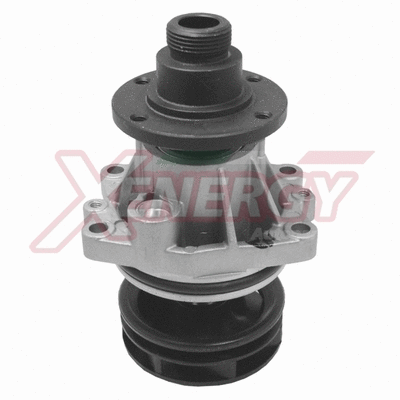 Water Pump, engine cooling (X200430)