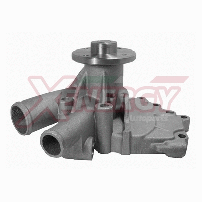 Water Pump, engine cooling (X200422)