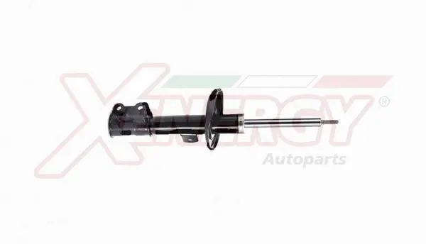 Shock Absorber (X712339)