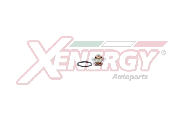 Thermostat, coolant (XT6047.83)