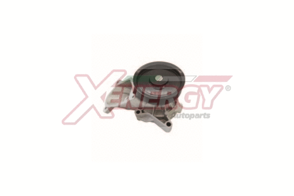 Water Pump, engine cooling (X208079)