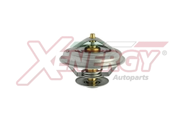 Thermostat, coolant (XT5111.80)