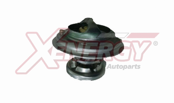 Thermostat, coolant (XT5284.91)
