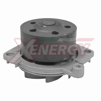 Water Pump, engine cooling (X200040)