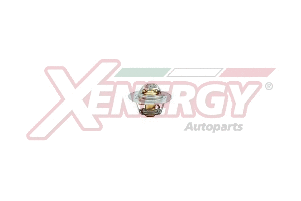 Thermostat, coolant (XT1290.88)