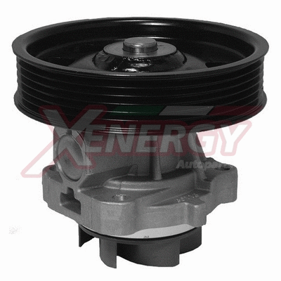 Water Pump, engine cooling (X204032)