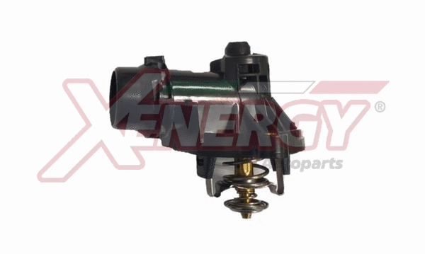 Thermostat, coolant (XT6873)