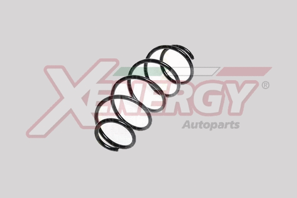 Suspension Spring (XSH5029)