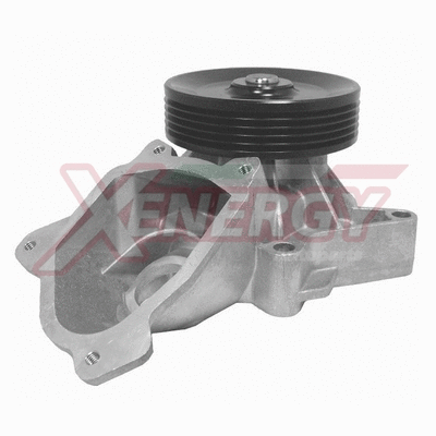 Water Pump, engine cooling (X204462)