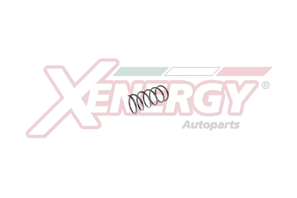 Suspension Spring (XSA3113)