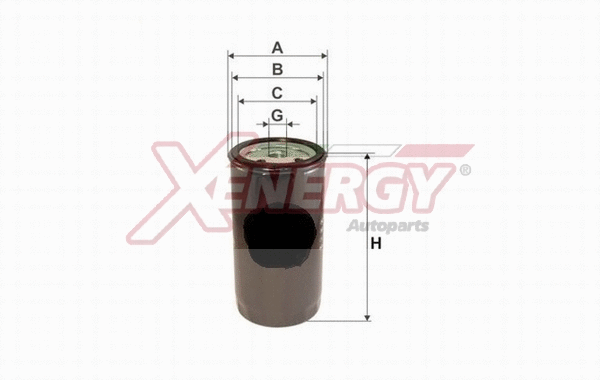 Fuel Filter (X1598792)