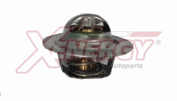 Thermostat, coolant (XT1416)