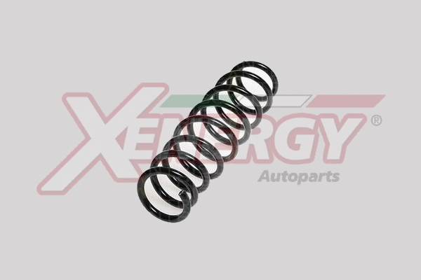 Suspension Spring (XSH4867)