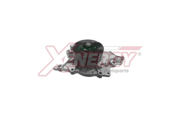 Water Pump, engine cooling (X208075)