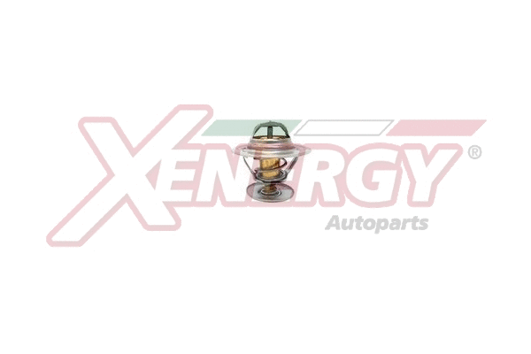 Thermostat, coolant (XT1439.80)