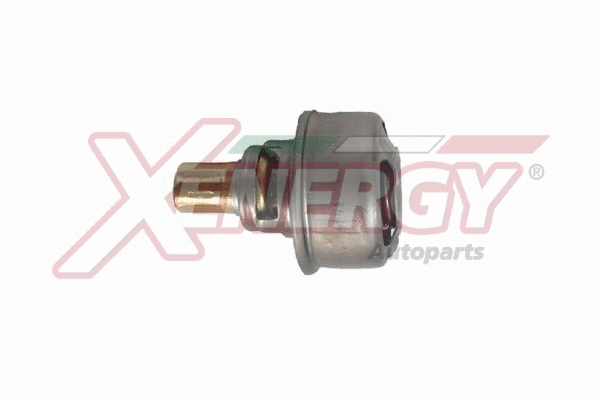 Thermostat, coolant (XT4495.83)