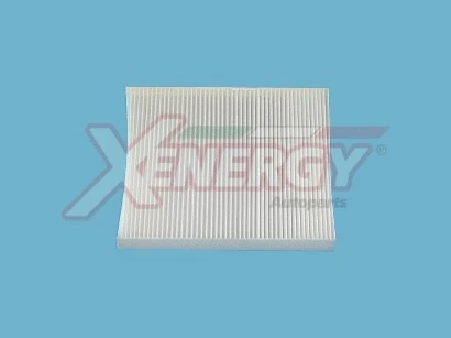 Filter, cabin air (X10725)