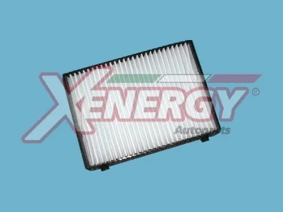 Filter, cabin air (X10761)