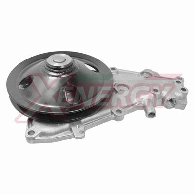Water Pump, engine cooling (X205120)