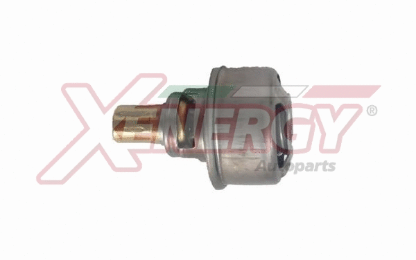 Thermostat, coolant (XT4495.89)