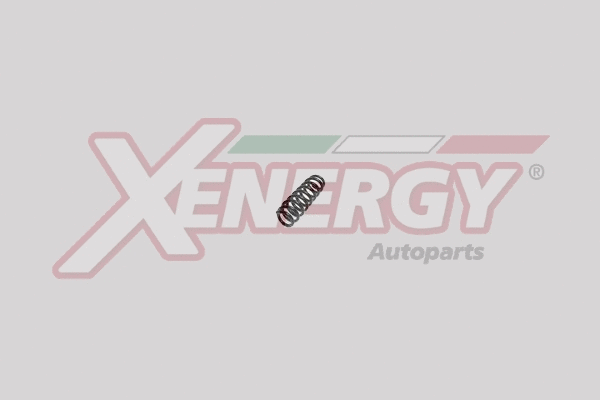 Suspension Spring (XSH0266)