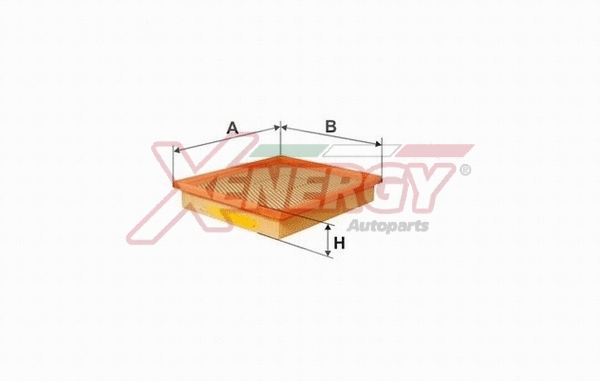 Air Filter (X1590036)