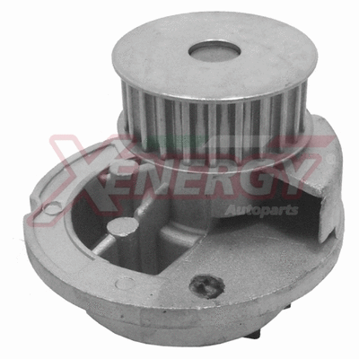 Water Pump, engine cooling (X204780)
