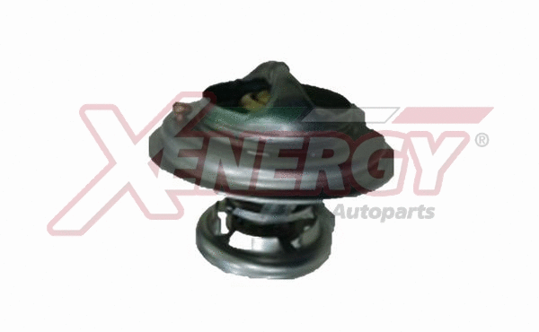 Thermostat, coolant (XT5699)