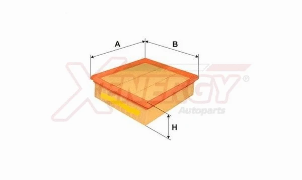 Air Filter (X1591905)