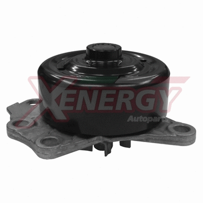 Water Pump, engine cooling (X205842)