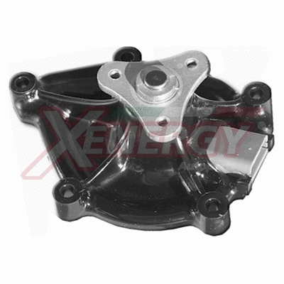 Water Pump, engine cooling (X206152)