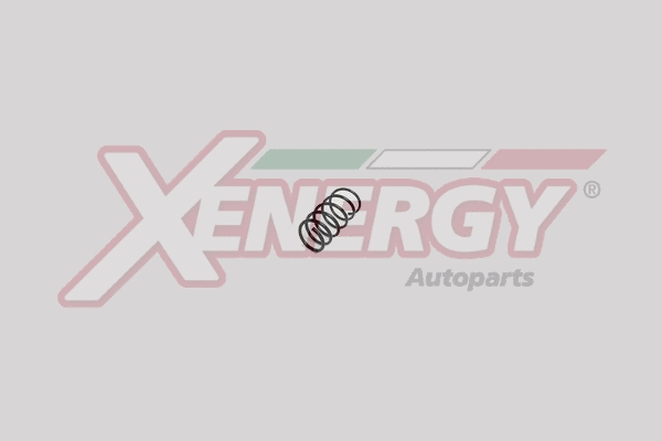 Suspension Spring (XSG6815)