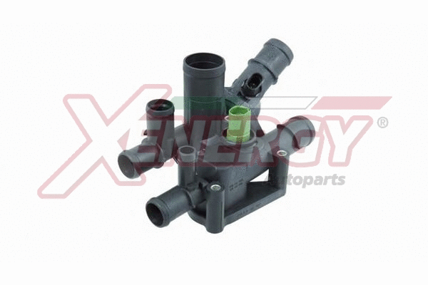 Thermostat, coolant (XT6975)