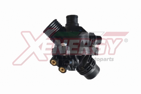 Thermostat, coolant (XT6984)