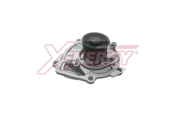 Water Pump, engine cooling (X208058)