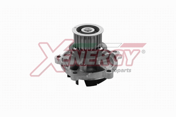 Water Pump, engine cooling (X206562)