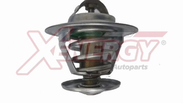 Thermostat, coolant (XT6273)