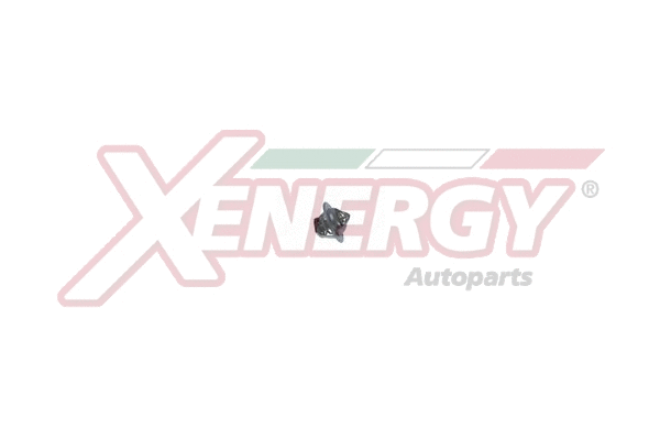 Thermostat, coolant (XT4898.92)