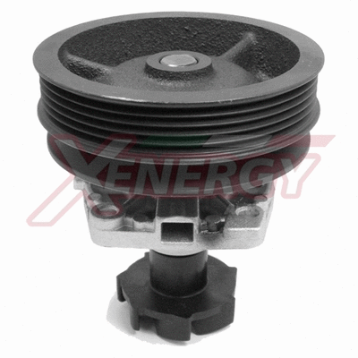 Water Pump, engine cooling (X200910)
