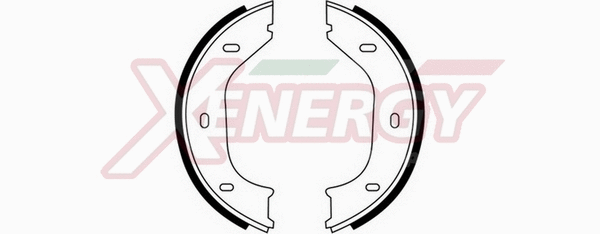 Brake Shoe Set, parking brake (X50030)