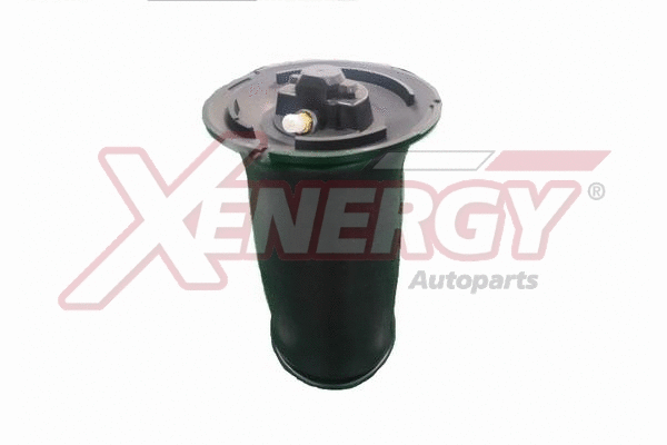 Air Spring, suspension (XPA5527)