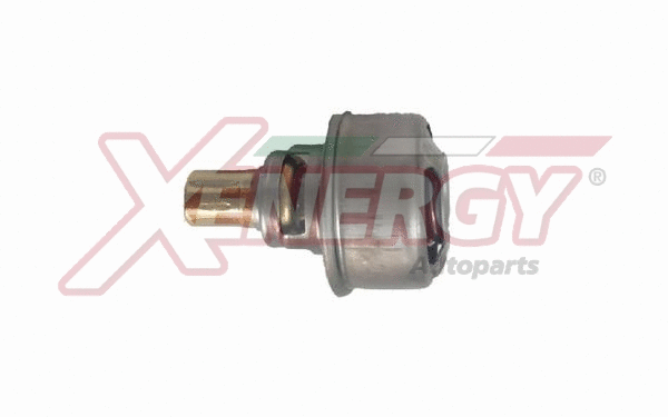 Thermostat, coolant (XT4495.86)