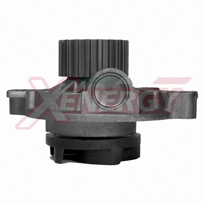 Water Pump, engine cooling (X205230)
