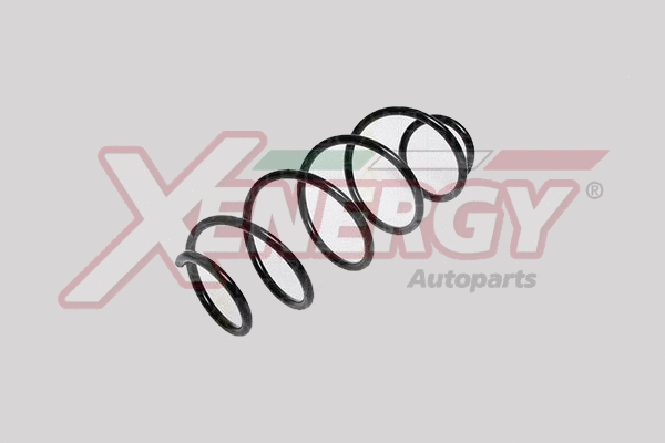 Suspension Spring (XSH8132)
