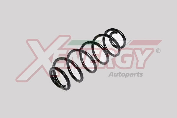 Suspension Spring (XSH5751)