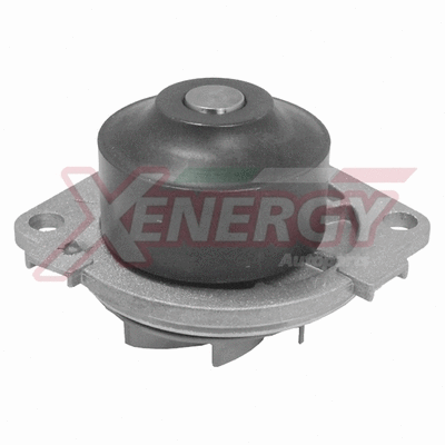 Water Pump, engine cooling (X200930)
